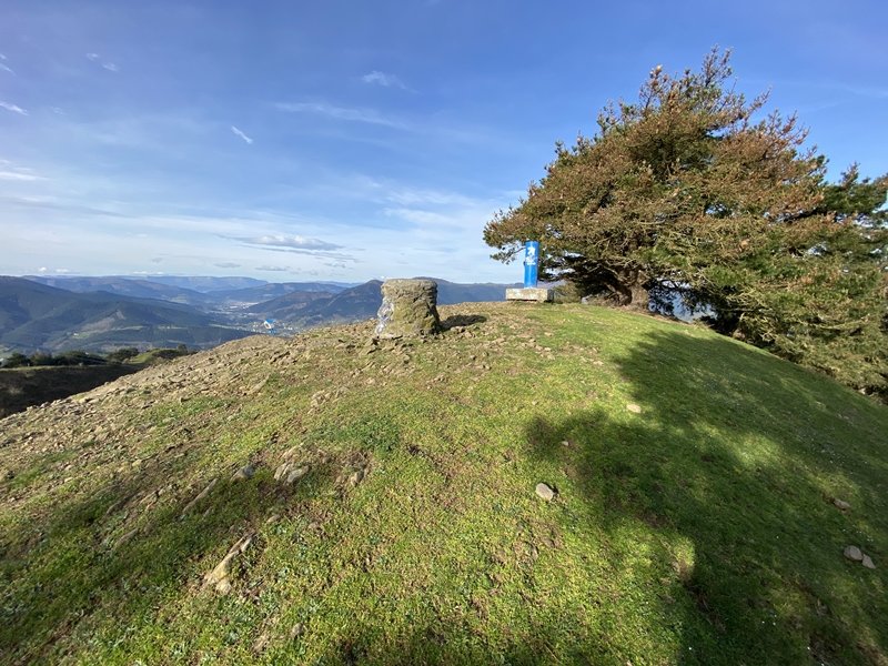 Tontorra