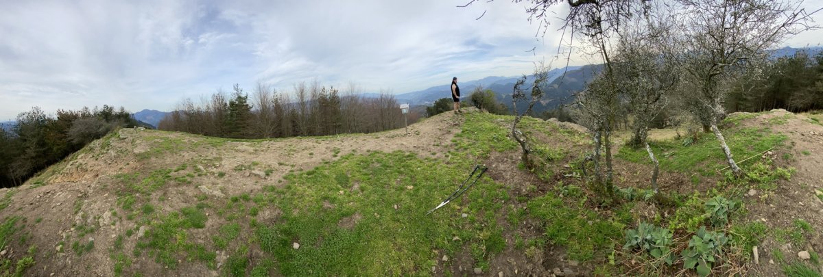 Tontorra