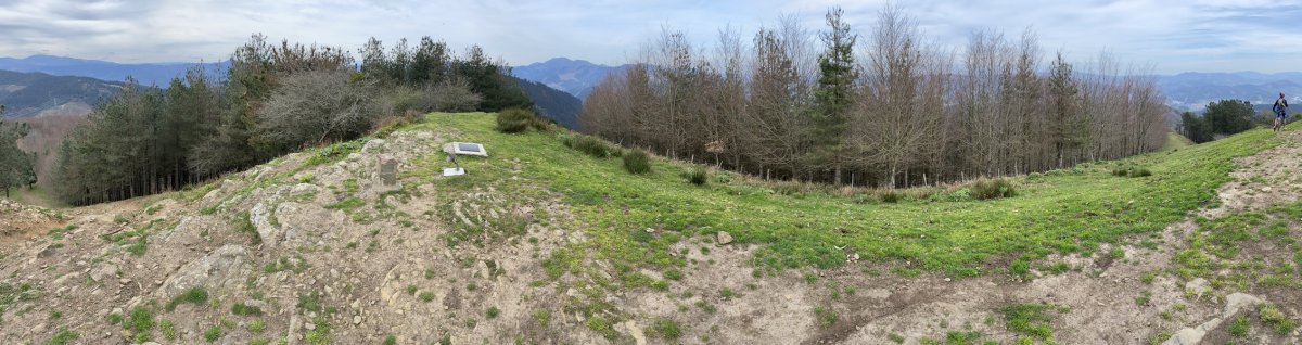 Tontorra