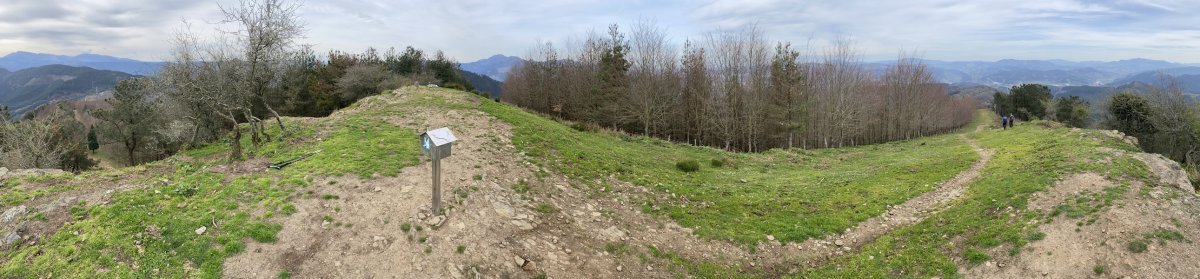 Tontorra