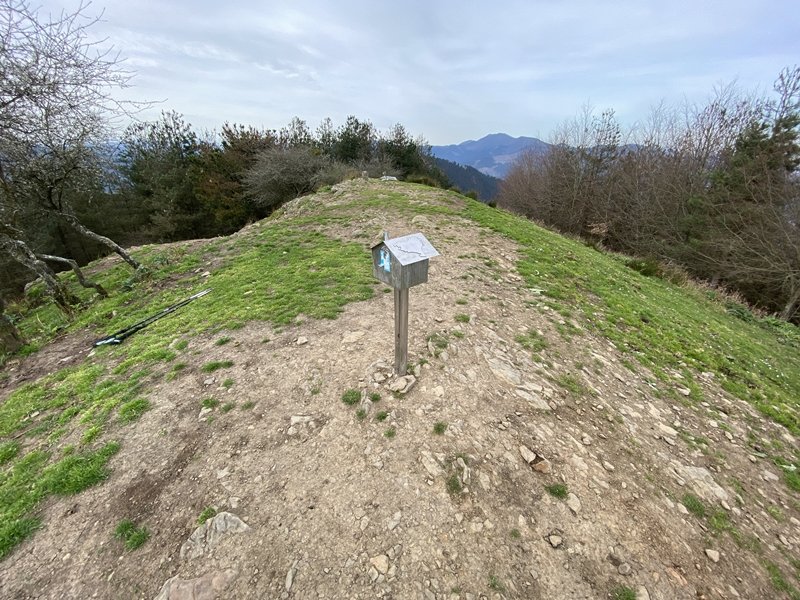 Tontorra