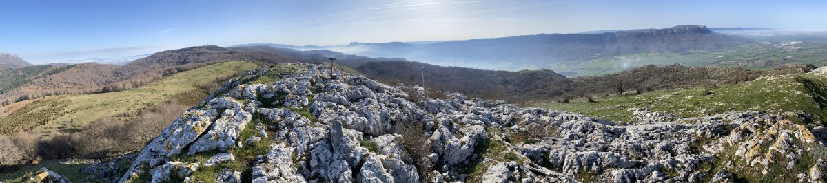 Tontorra