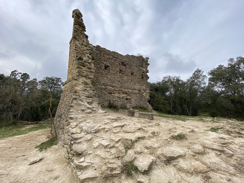 Tontorra