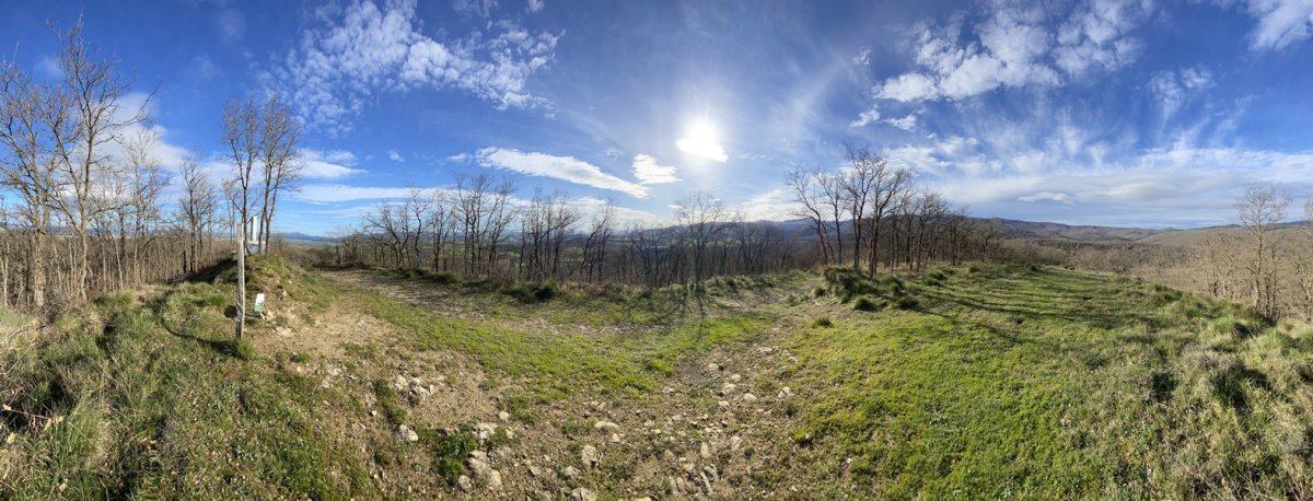 Tontorra