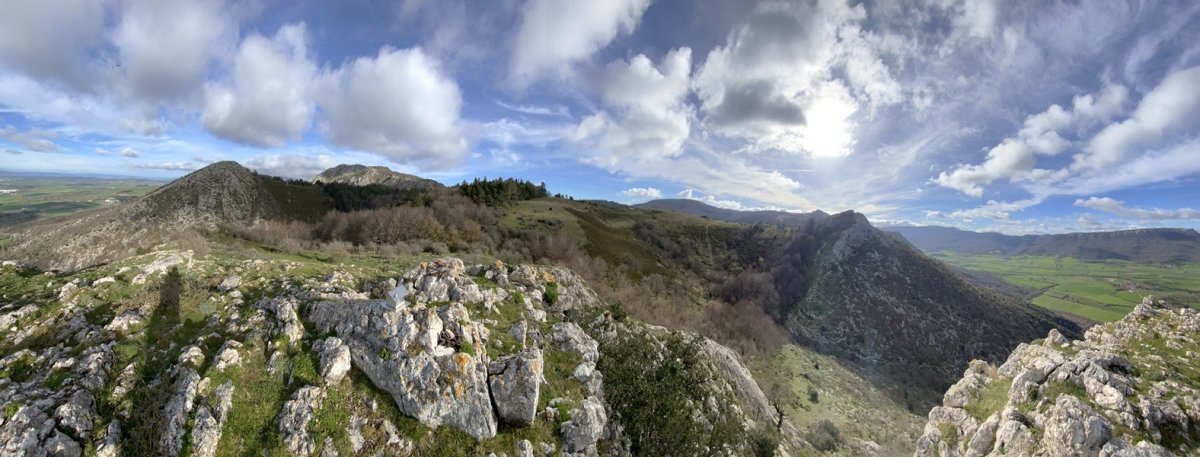 Tontorra