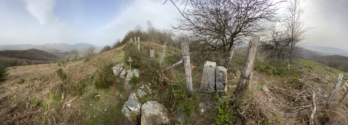Tontorra