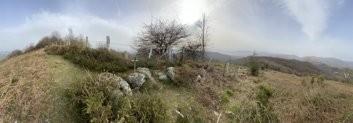Tontorra