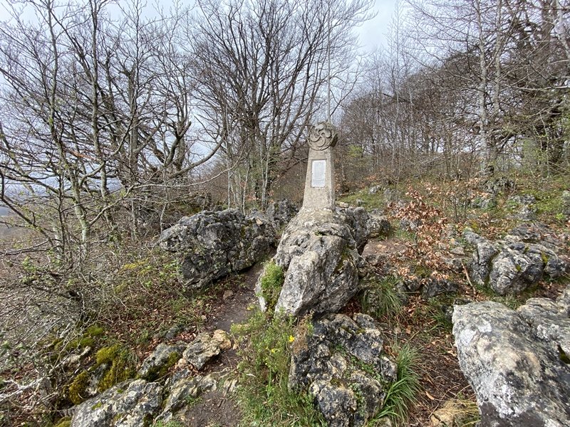 Tontorra