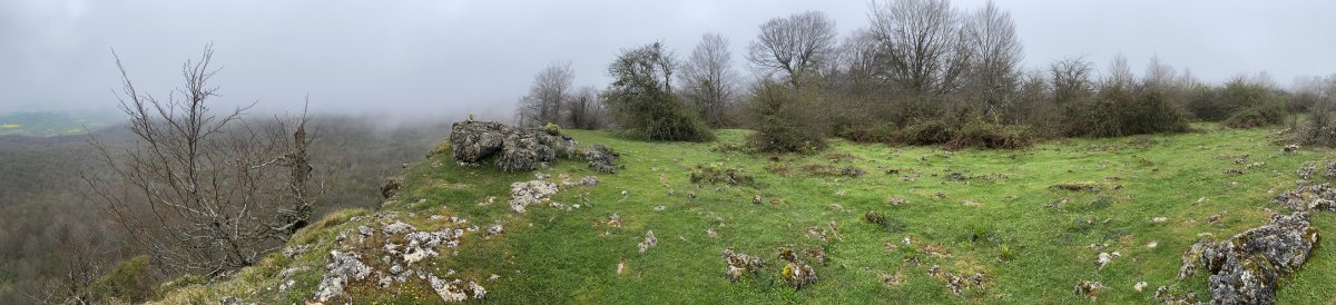 Tontorra
