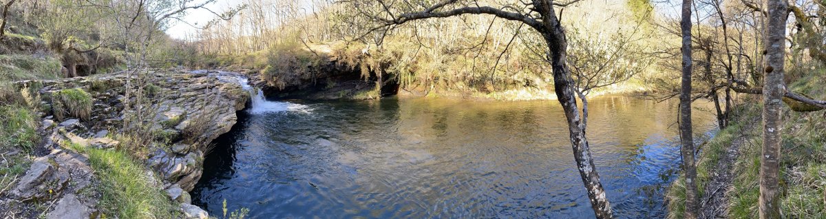 Zaldibartxo