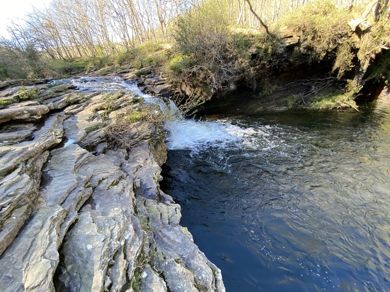 Zaldibartxo