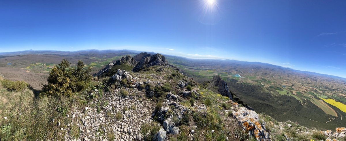 Tontorra