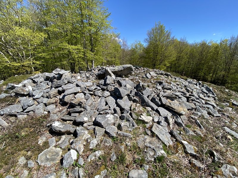 Tontorra