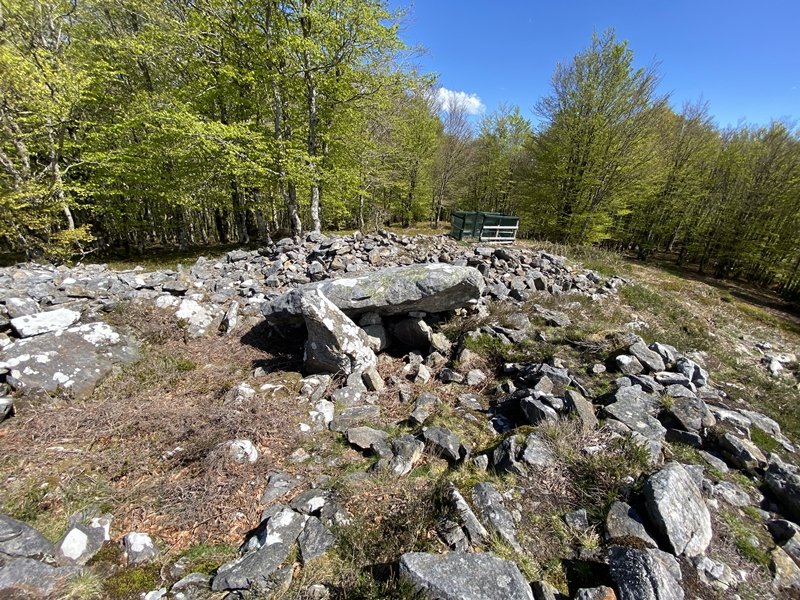 Tontorra