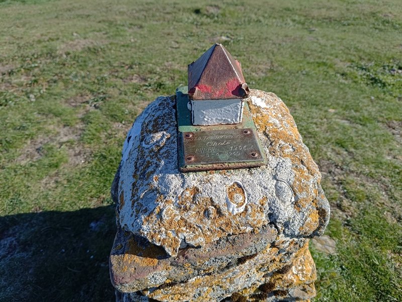 Buzoia