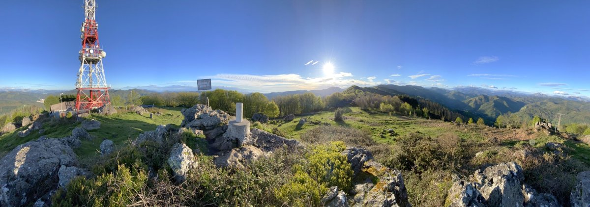 Tontorra