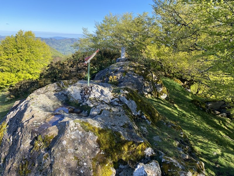 Tontorra