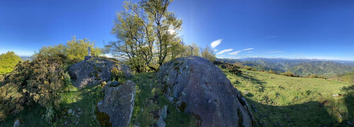 Tontorra