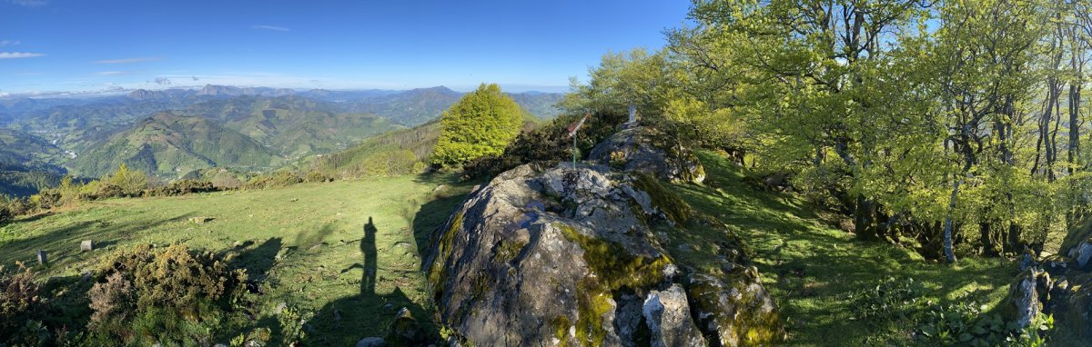 Tontorra