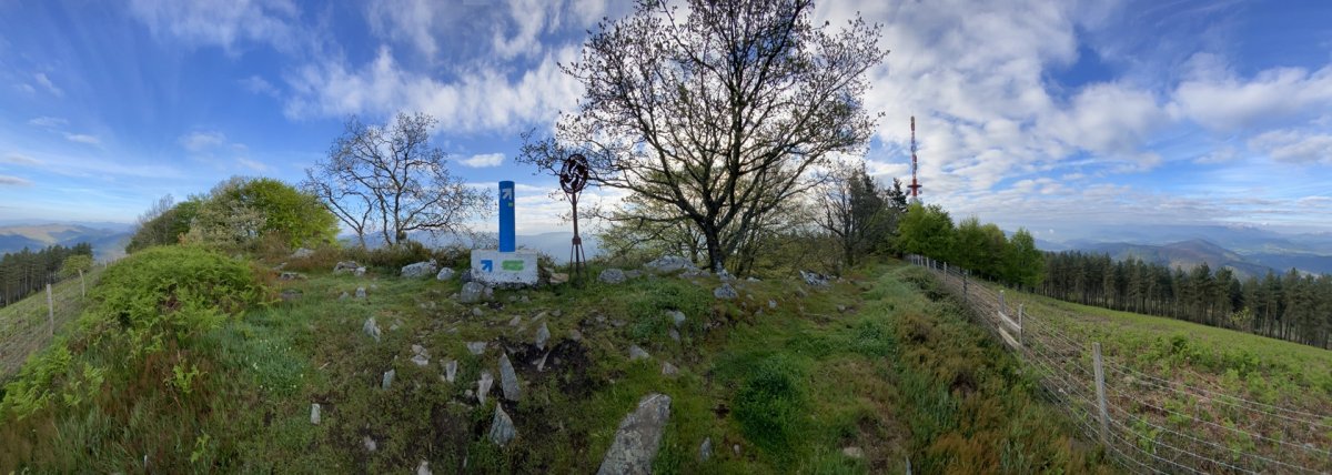 Tontorra