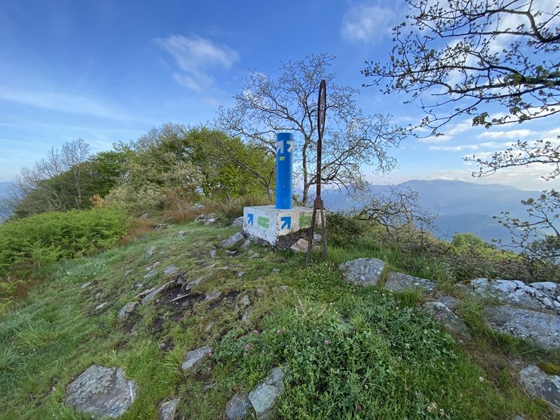 Tontorra