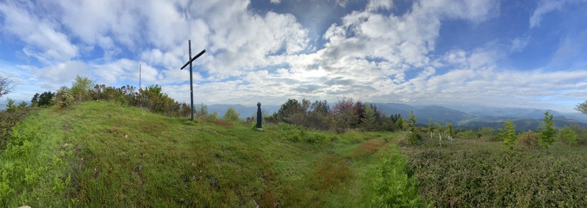 Tontorra