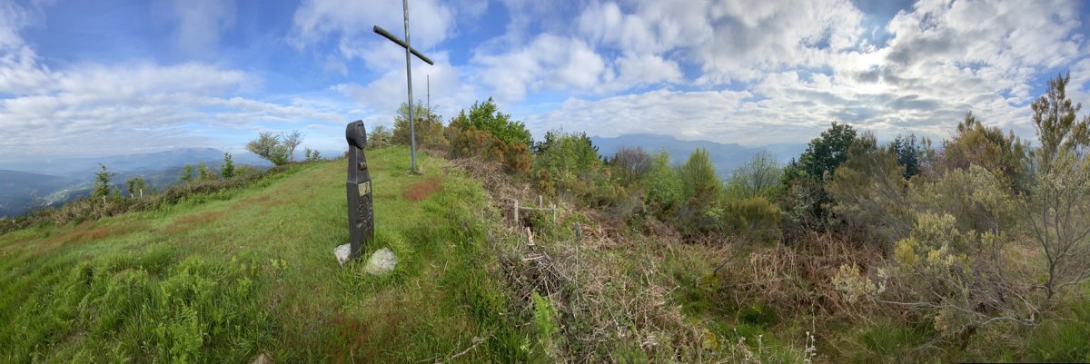 Tontorra