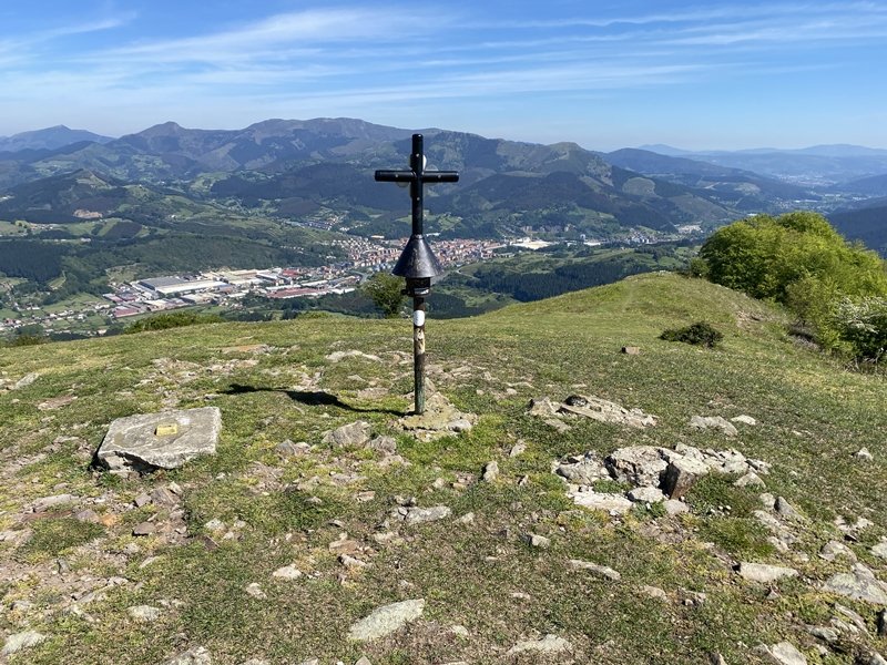 Buzoia