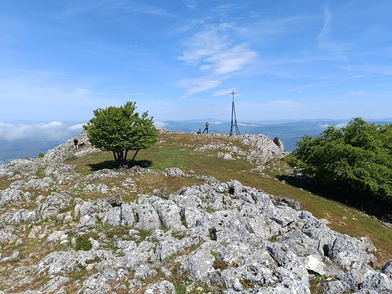 Tontorra