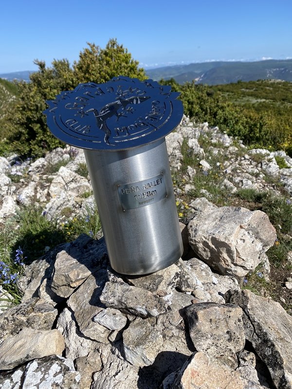 Buzoia