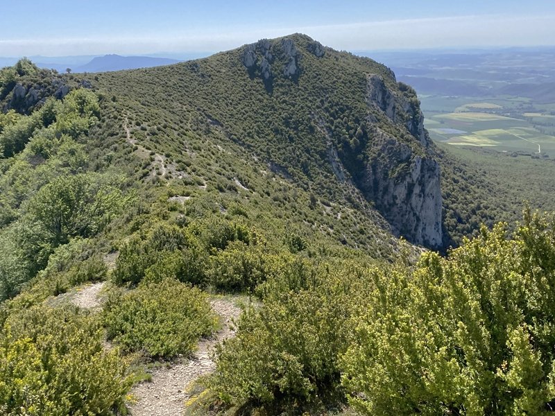Gallet