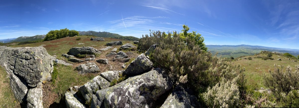 Tontorra