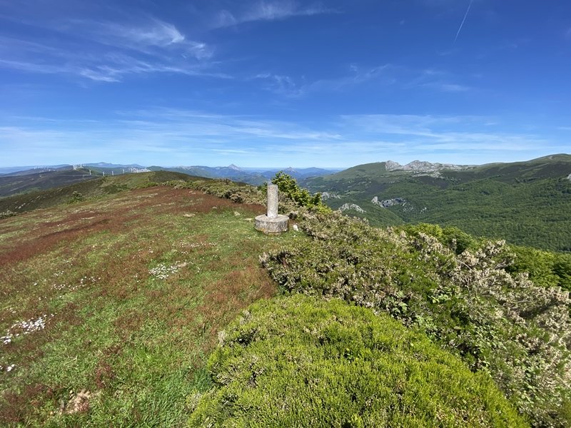 Tontorra