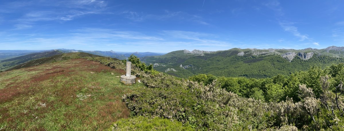 Tontorra
