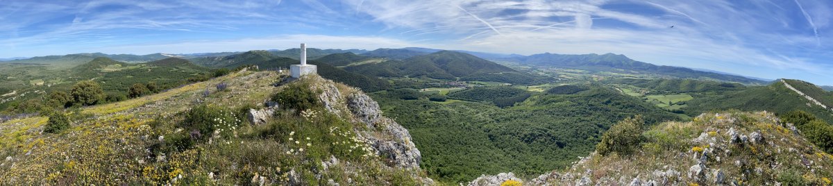 Tontorra