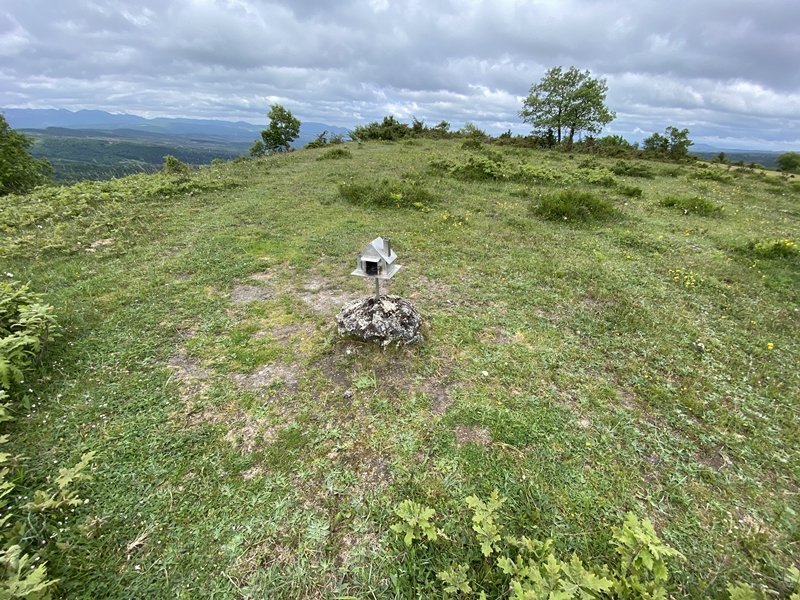 Tontorra