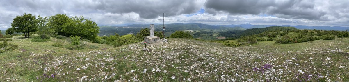 Tontorra