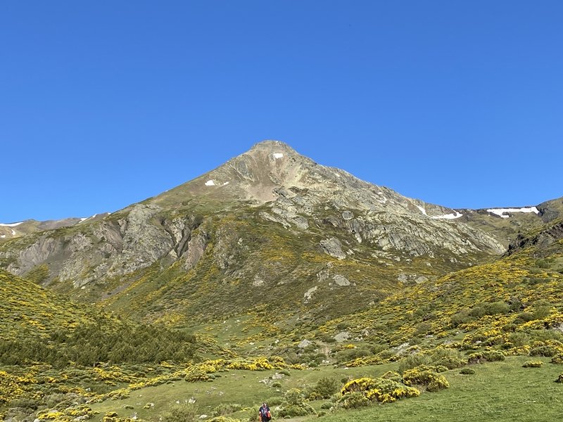 Pico Murcia