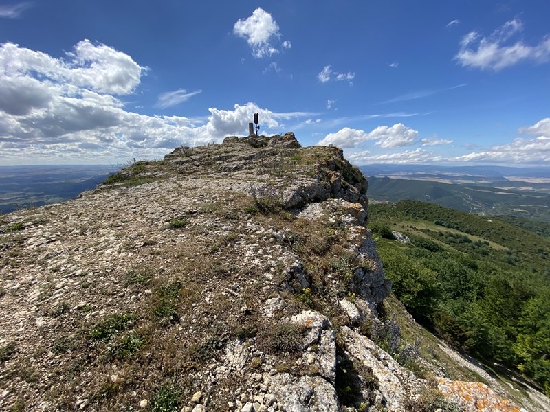 Tontorra