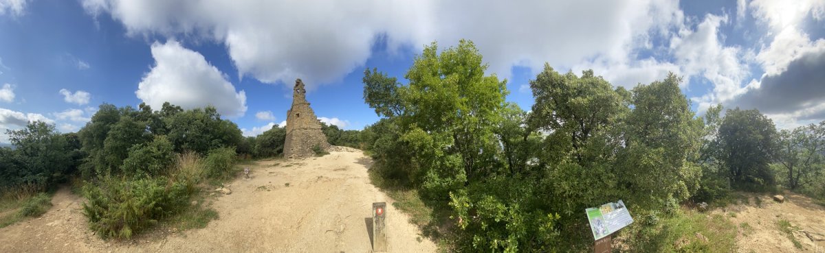 Tontorra