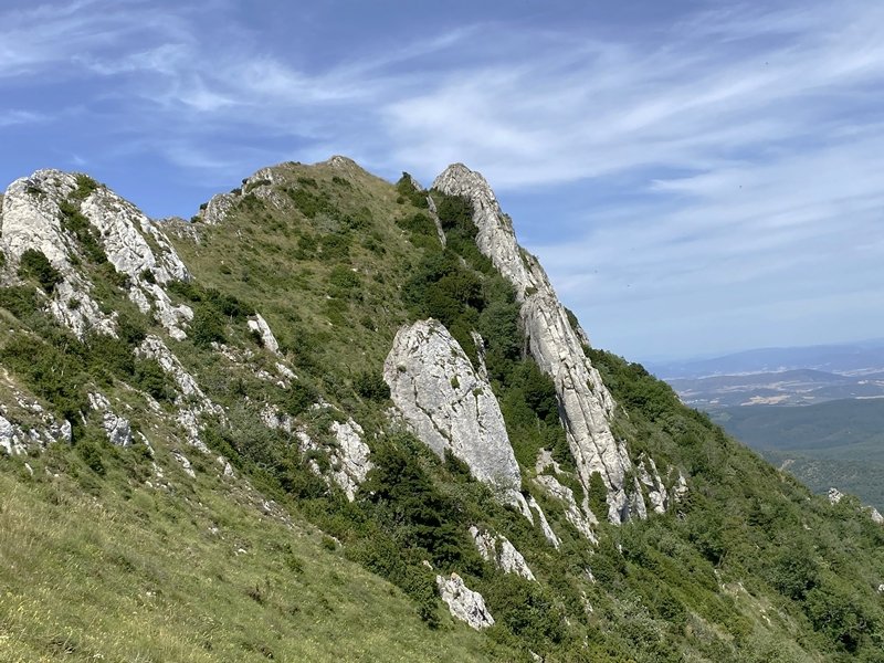 Palomares