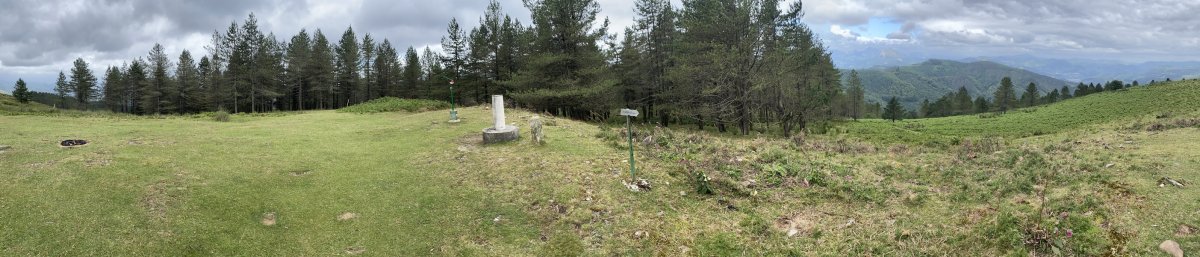 Tontorra