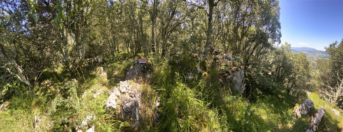 Tontorra