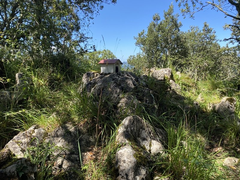 Tontorra