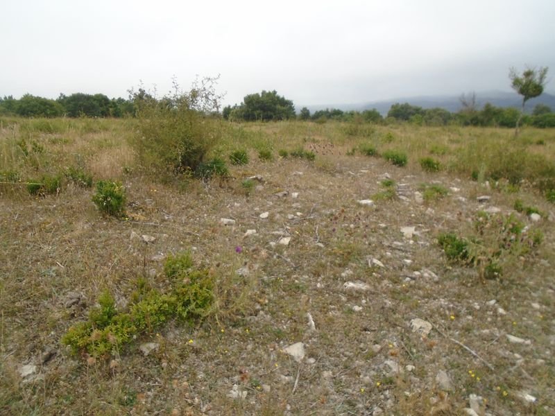 la magdalena 4