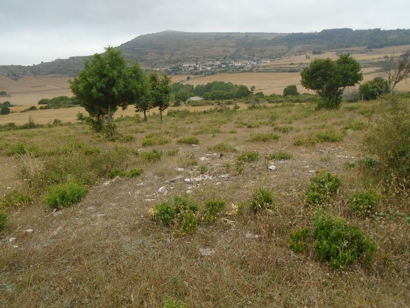 la magdalena 4
