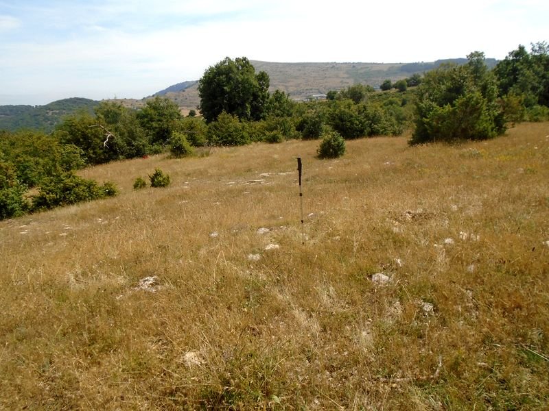 ornaixabal 2