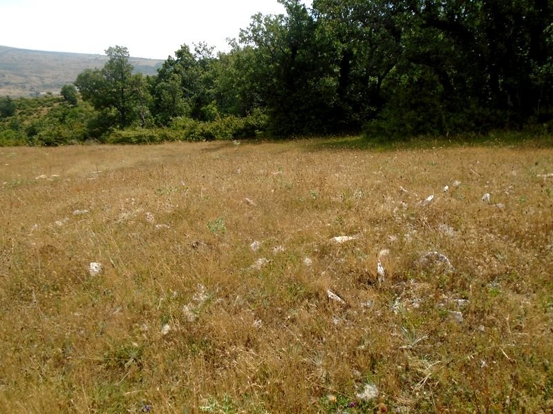 ornaixabal 3