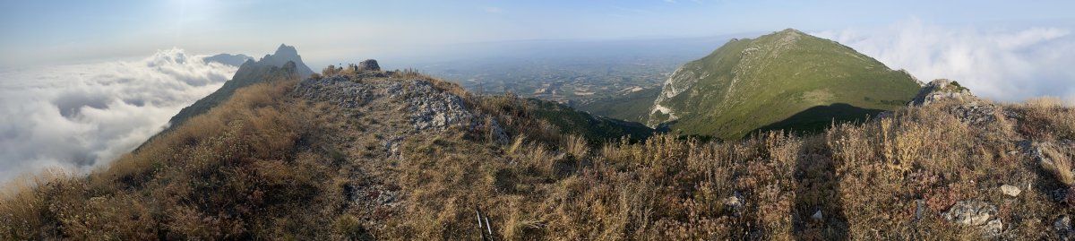 Tontorra