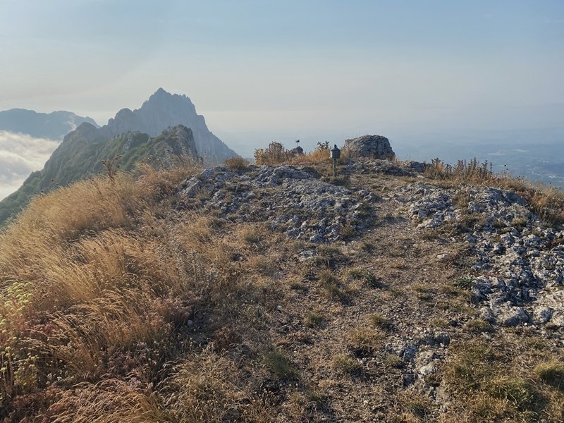 Tontorra